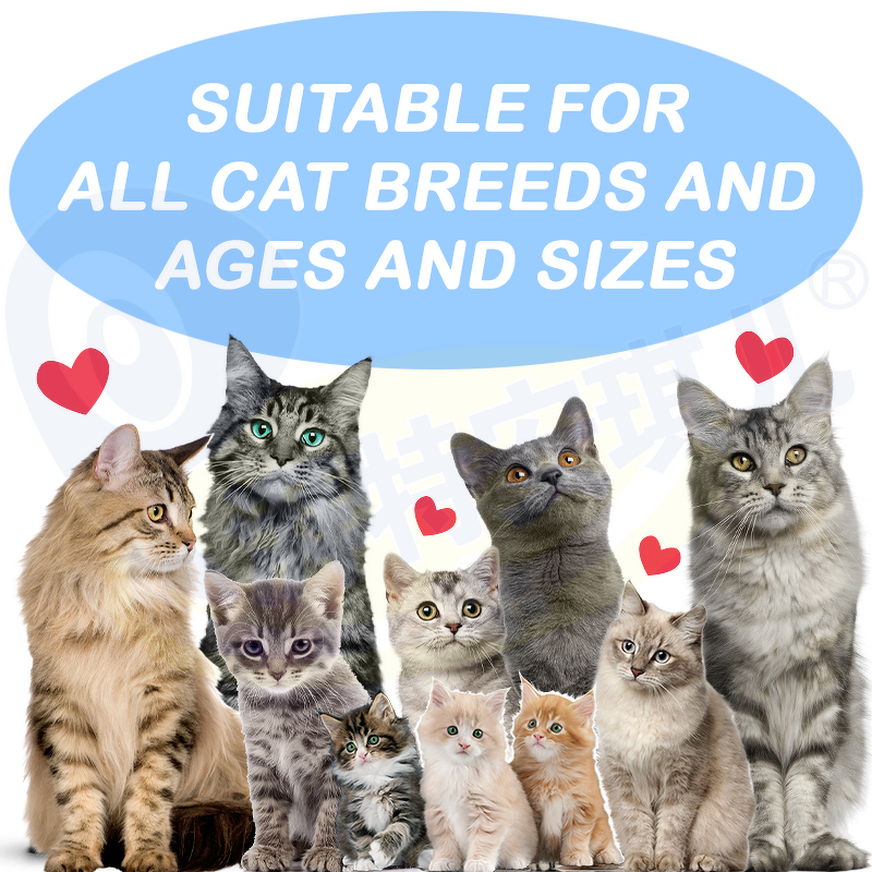 Cat Probiotic Supplement - Manufacturer - ODM OEM Skin Coat Hairball Relief Digestive Aid