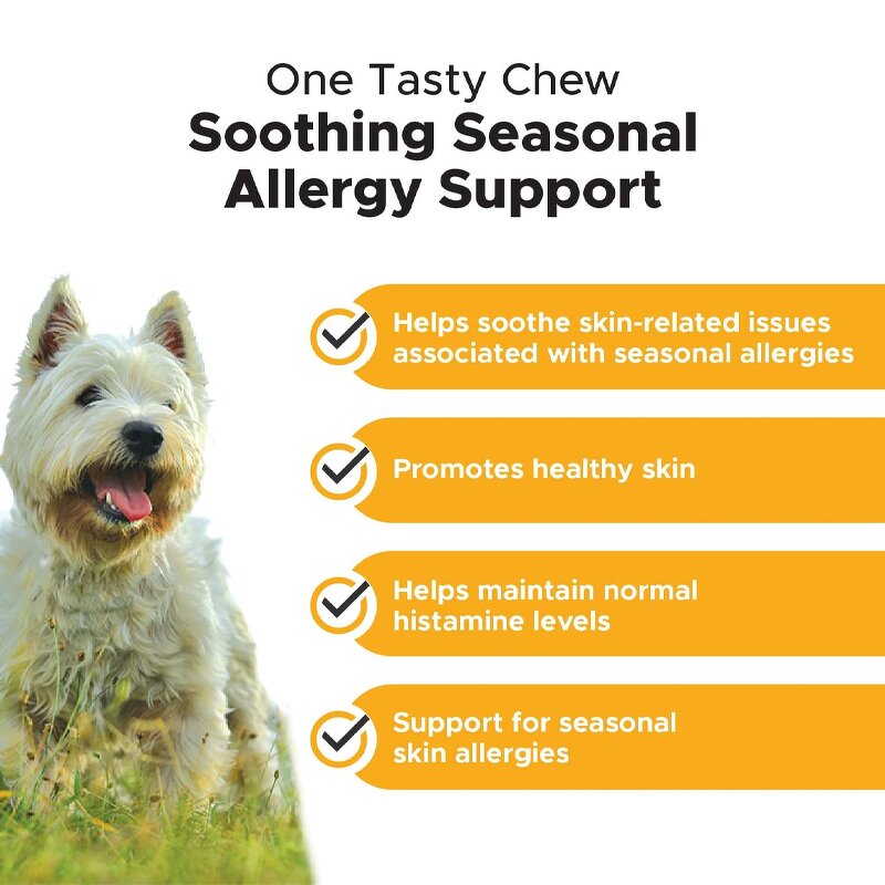 Dog Itchy Skin Supplement - Manufacturer - Custom Private Label Allergy Immune Relief Pet