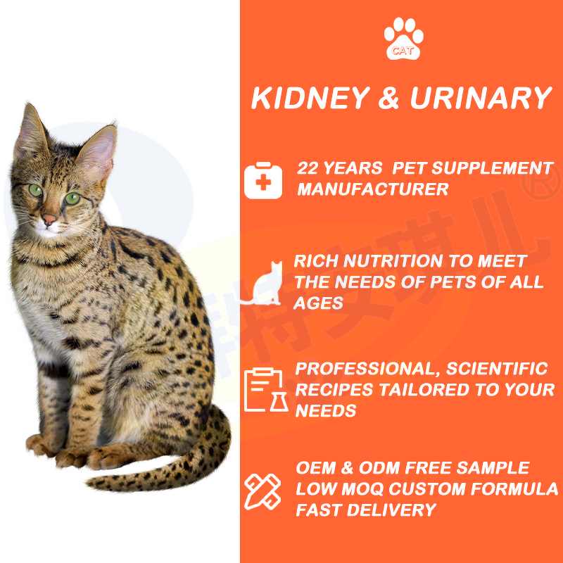 Cat Kidney Supplement - Manufacturer - OEM Private Label Nutrition Urinary Kidney Function