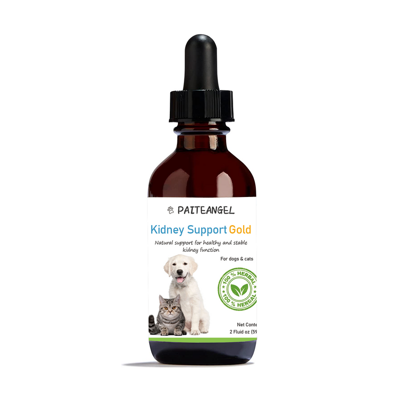 Dog Urinary Tract Support - Manufacturer - Professional Custom Brand Immune Kidney Function
