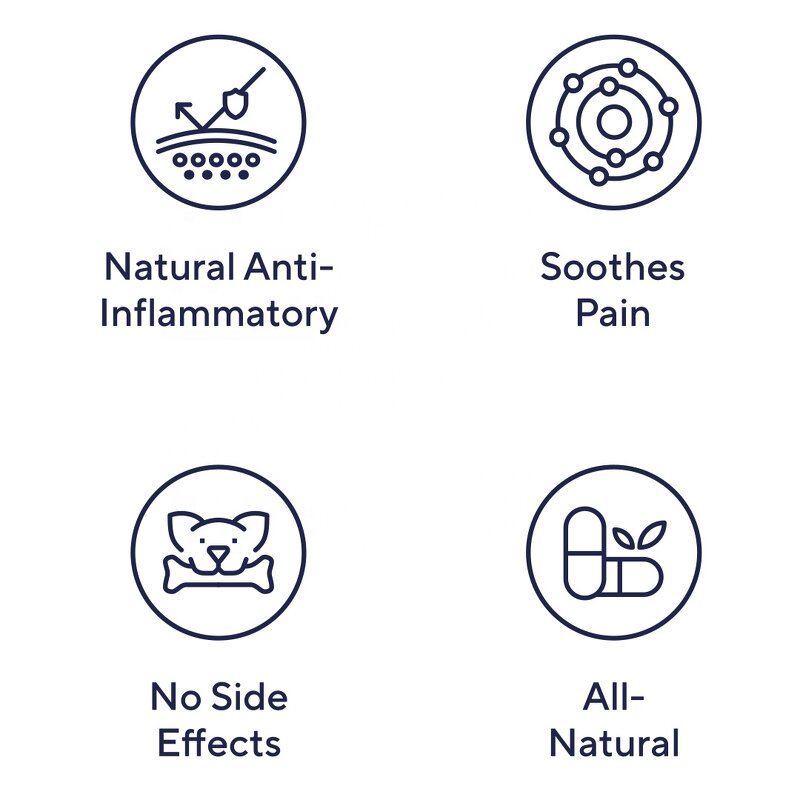 Dog Pain Relief Supplement - Manufacturer - All Types Pain Manage Pet Health Care Support