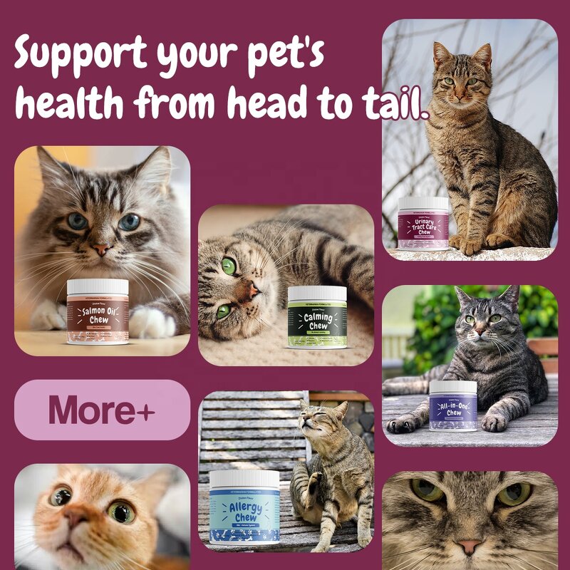 Cat Urinary Tract Tablet - Manufacturer - Private Label Acetylglucosamine Cranberry D-Mannose