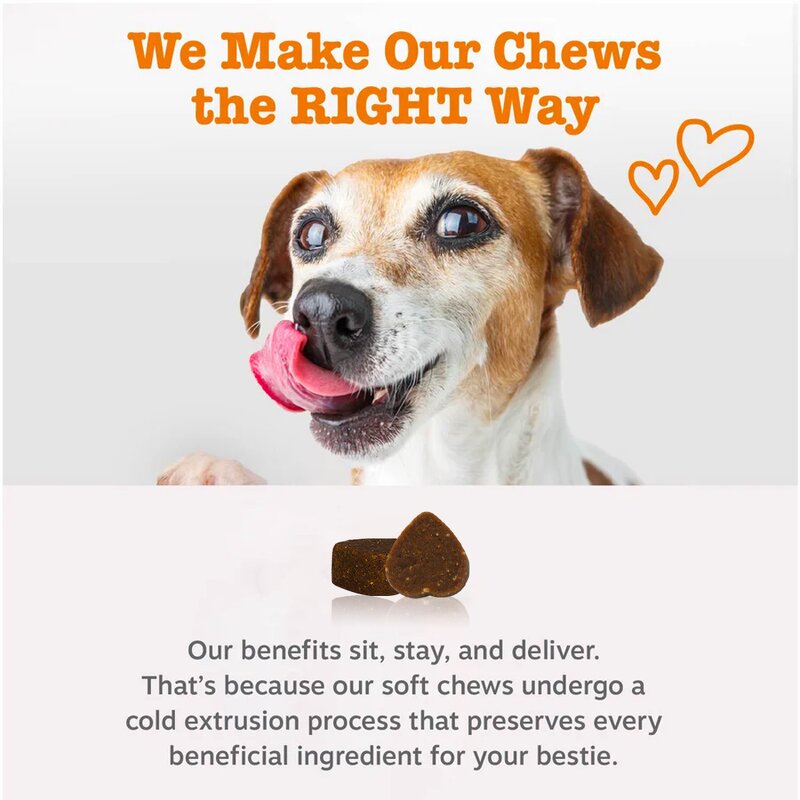 Dog Bladder Bites Chew - Manufacturer - OEM/ODM Private Label Cranberry D-Mannose Urinary Tract