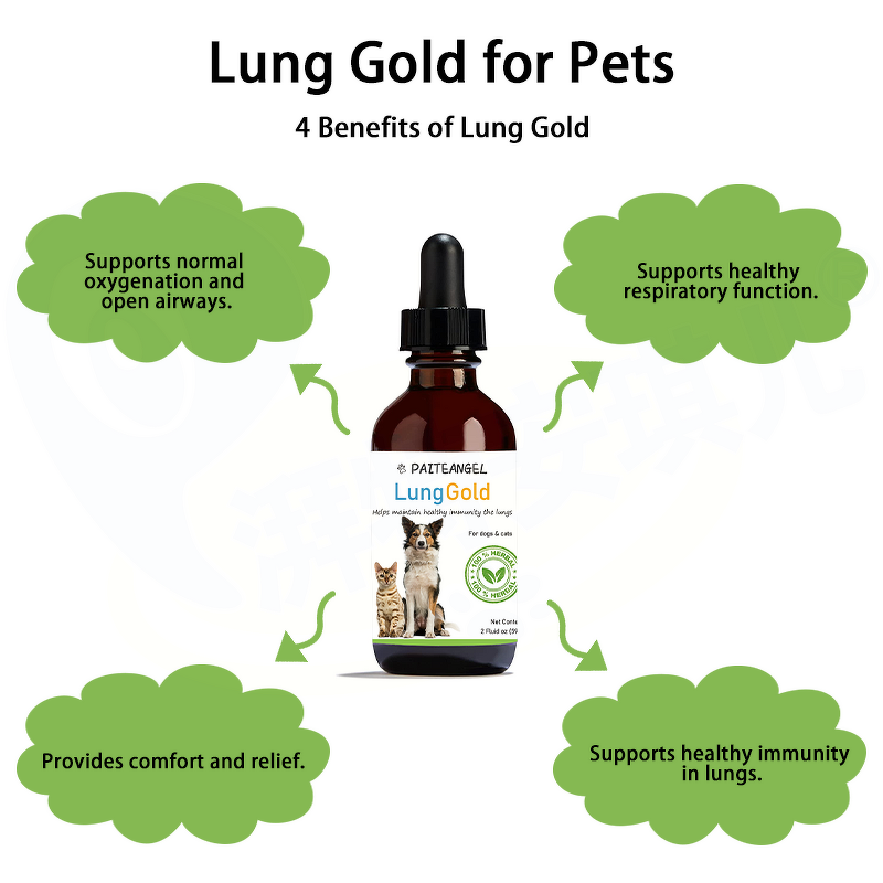 Pet Herbal Supplement - Manufacturer - Oem&Odm Lung Immunity Respiratory Health Dog Cat Oil