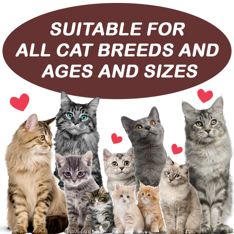 Tear Stain Soft Chews - Manufacturer - OEM/ODM Remover Eye Moisture Vision Immune Support