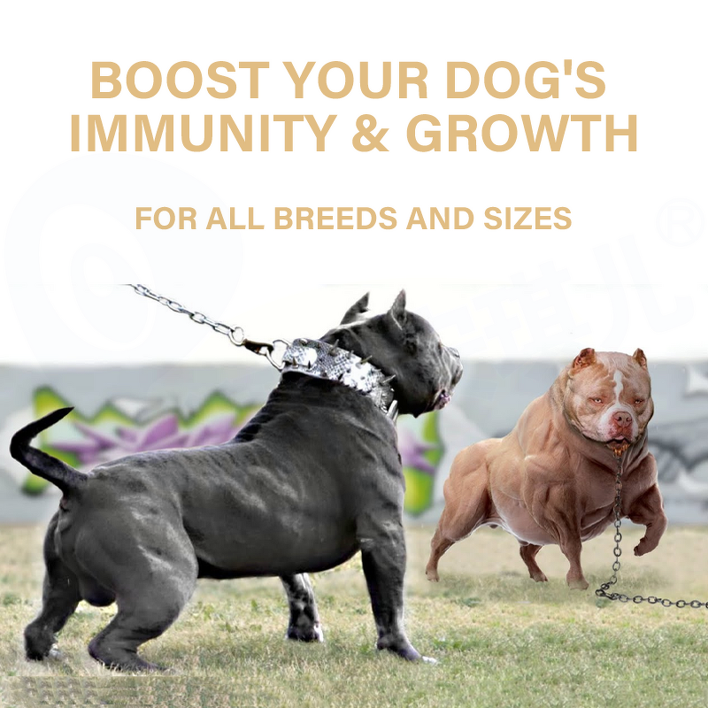 Muscle Bully Gain Supplement - Manufacturer - Premium Pet Health Care Nutrition Muscle