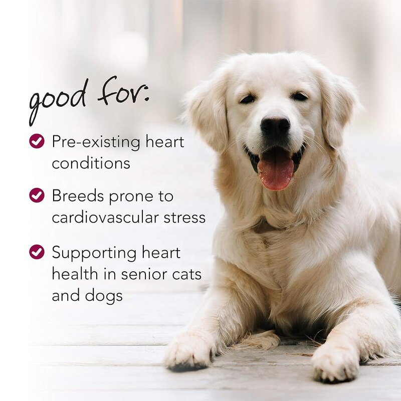 Coenzyme Q10 Capsules - Manufacturer - Hawthorn Ginger Blood Circulation Heart Muscle Pet