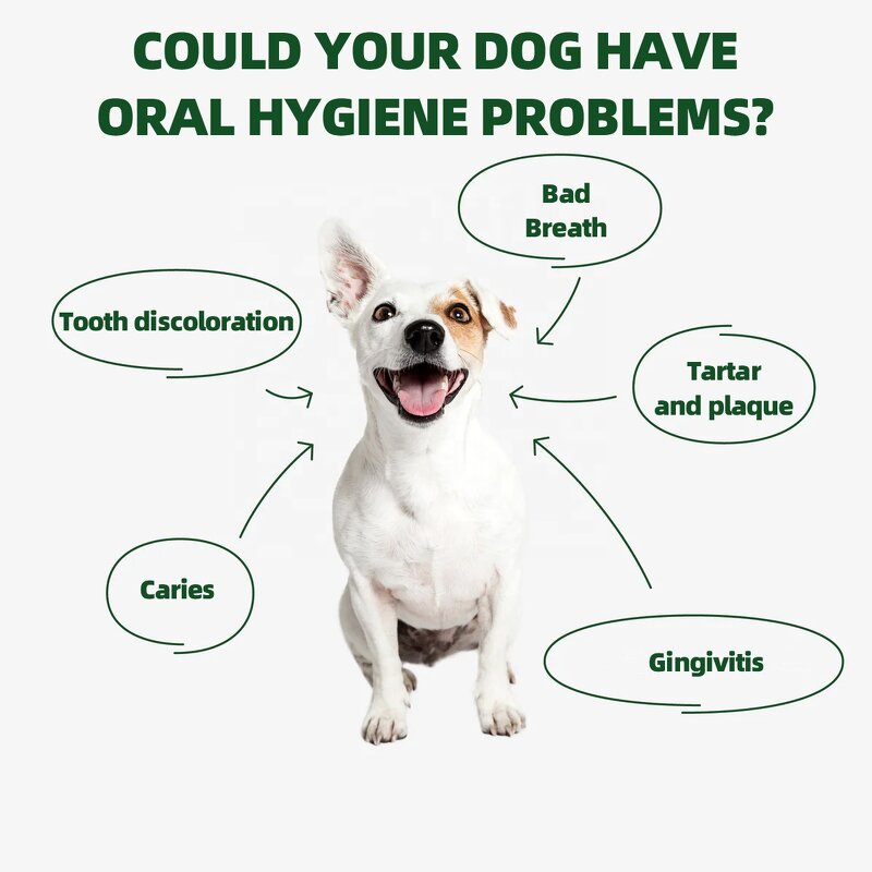 Dog Dental Chews - Manufacturer - Customized Natural Tartar Control Fresh Breath OEM