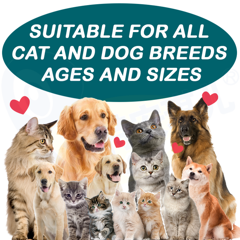 Pet Hemp Oil Supplement - Manufacturer - Customization Dog Gut Joint Health Hemp Oil Cats