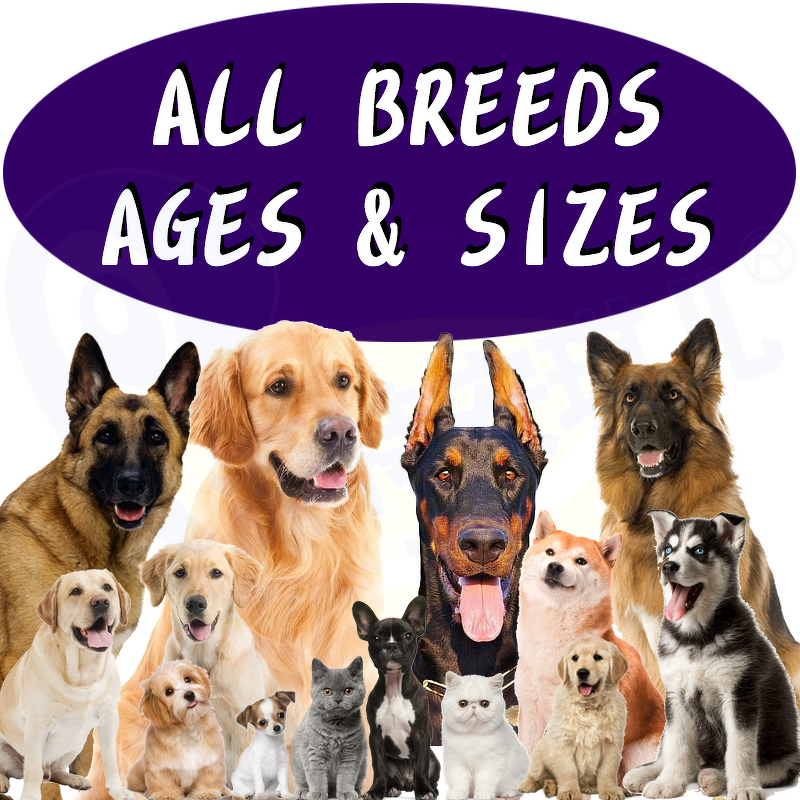 Probiotic Soft Chews - Manufacturer - Wholesale Private Label Grass Green for Dogs Cats