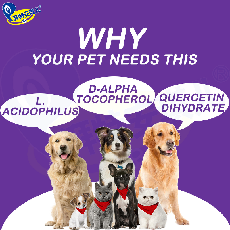 American Bully Supplement - Manufacturer - N in 1 Joint MSM Glucosamine Muscles Builder