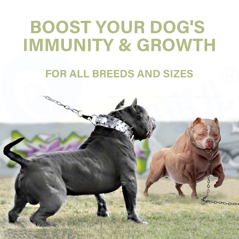 Muscle Bully Gain Supplement - Manufacturer - Premium Pet Health Care Muscle Building
