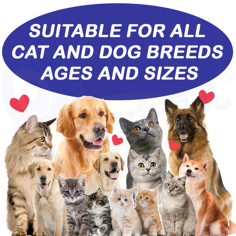 Dog Flea Tick Tablet - Manufacturer - Custom Brand Prevent Bites Immune Nutrition Oem