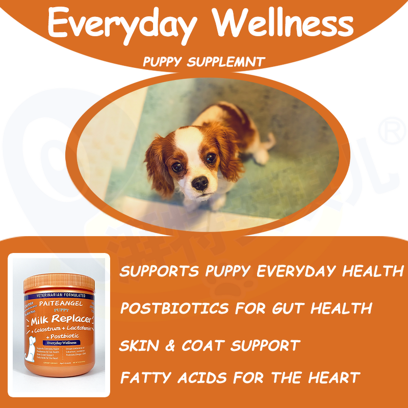 Dog Puppy Probiotic Powder - Manufacturer - Wholesale Omega 3 6 Fatty Acid High Protein