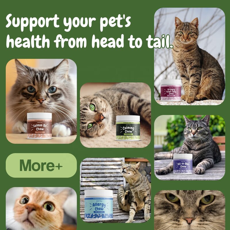 Cat Heart Supplement - Manufacturer - Private Label Salmon Oil Taurine L-Carnitine Hawthorn