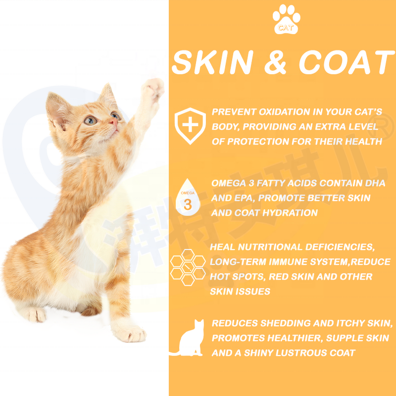 Cat Salmon Oil Supplement - Manufacturer - Wholesale Private Label Skin Coat Shiny Moisturising