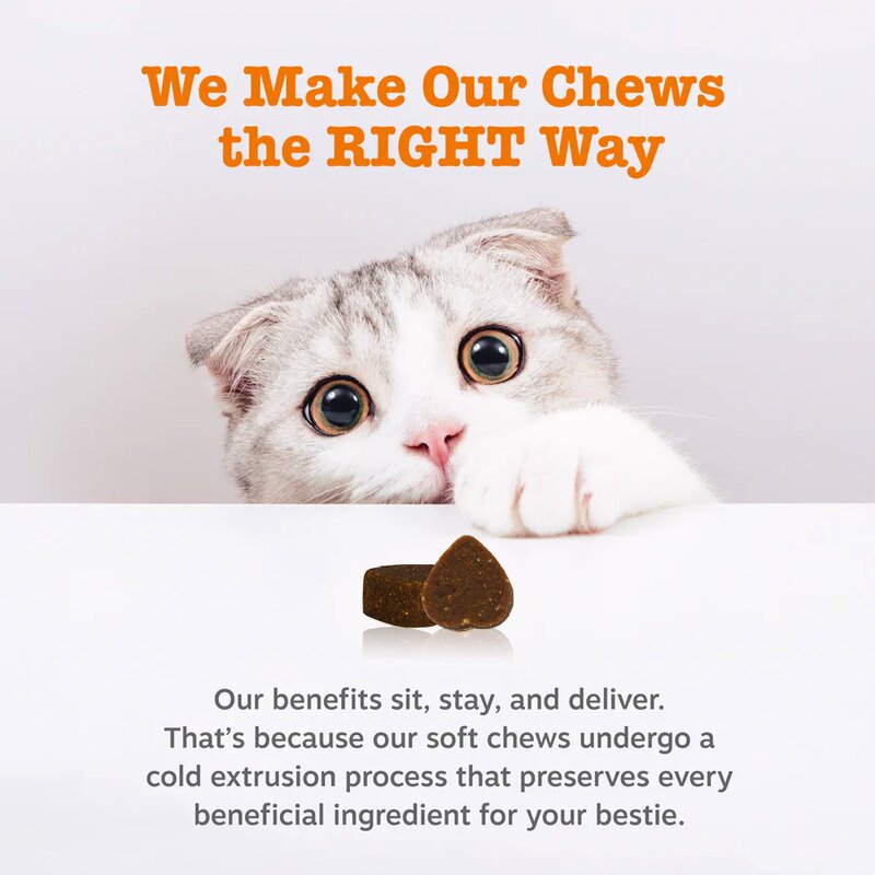 Cat Hairball Control Chews - Manufacturer - OEM/ODM Natural Omega 3 6 Fatty Acids Remedy Aid