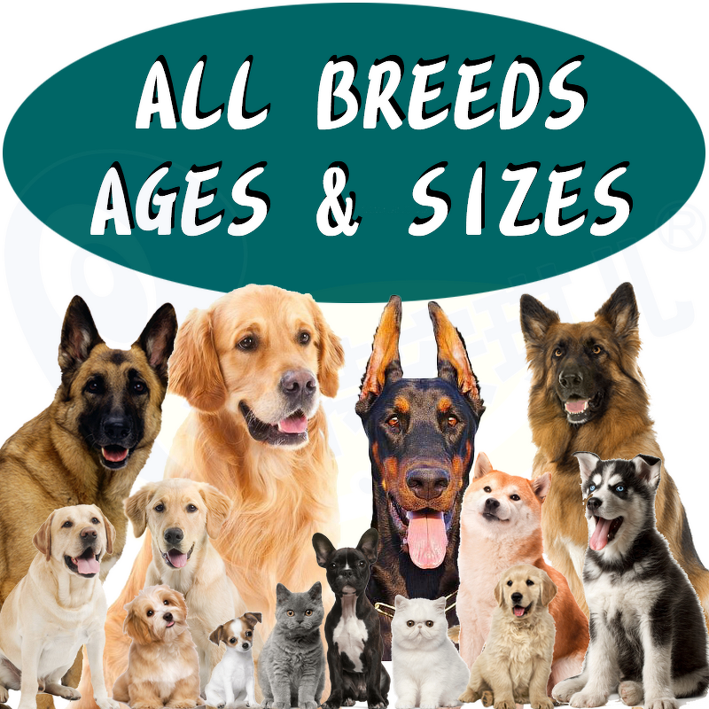 Dog Calming Chews - Manufacturer - Private Label Natural Separation Barking Stress Relief