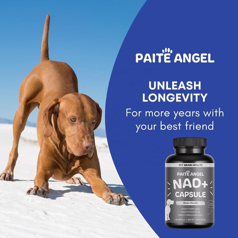Senior Dog Brain Supplement - Manufacturer - Cognitive NAD+ Cellular Energy Cardiovascular