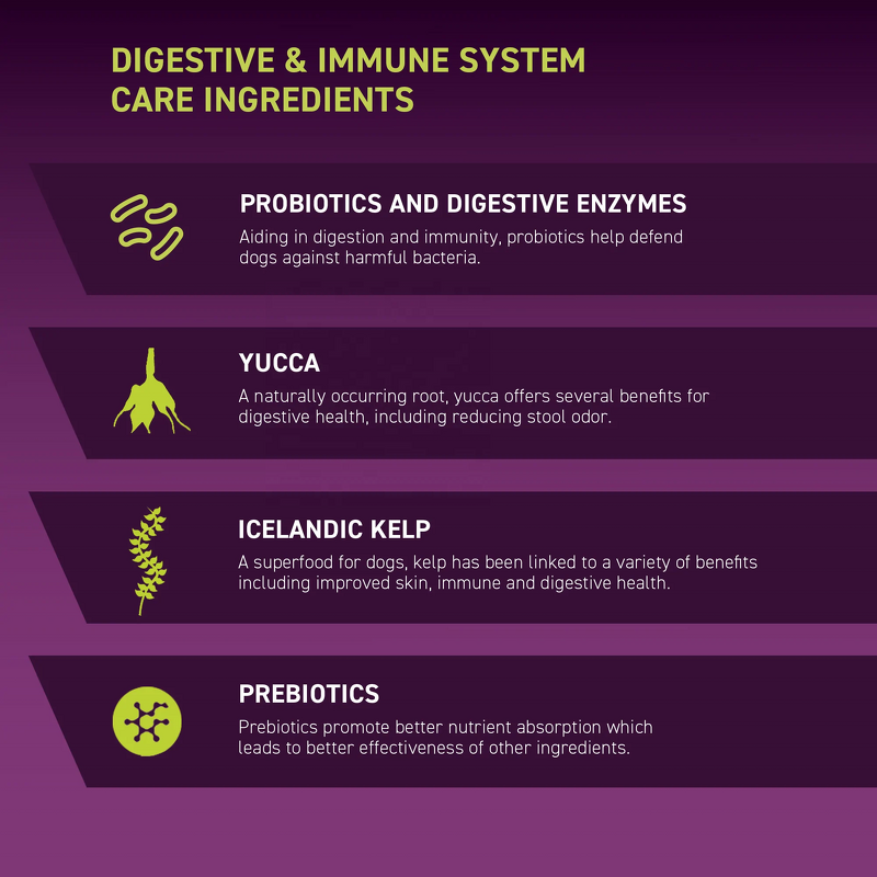 Digest Forte Powder - Manufacturer - Dog Probiotic Digestive Improve Absorption Gut Health