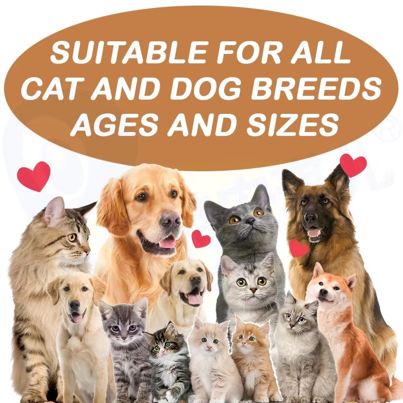 Immune Support Supplement - Manufacturer - Organic Herbal Liquid Immunity Pet Health Care