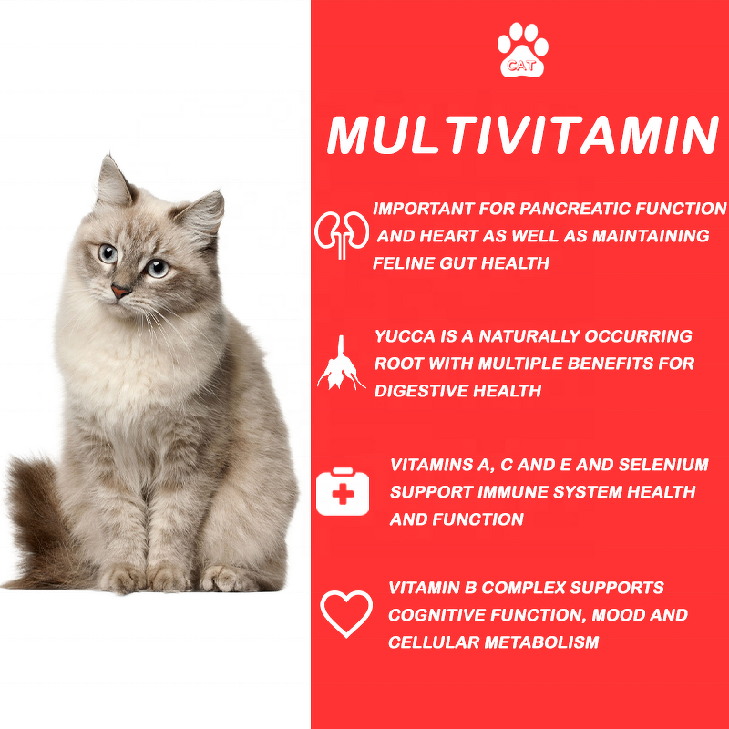 Cat Vitamin Supplement - Manufacturer - Professional Custom Best Vitamins Mineral Nutrition