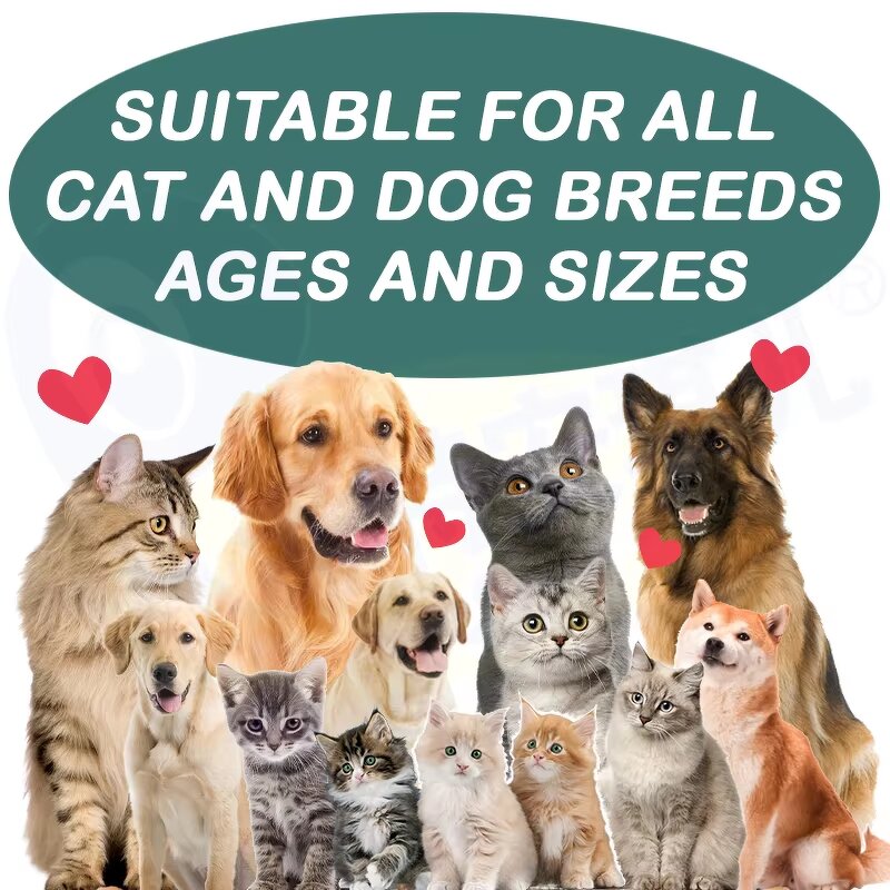 Respiratory Supplement - Manufacturer - Organic Herbal Liquid Cough Wheeze Sneeze Pet Care