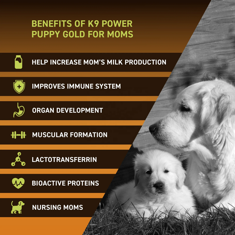 Puppy Gold Powder - Manufacturer - OEM Growing Puppies Nursing Mothers Essential Nutrients