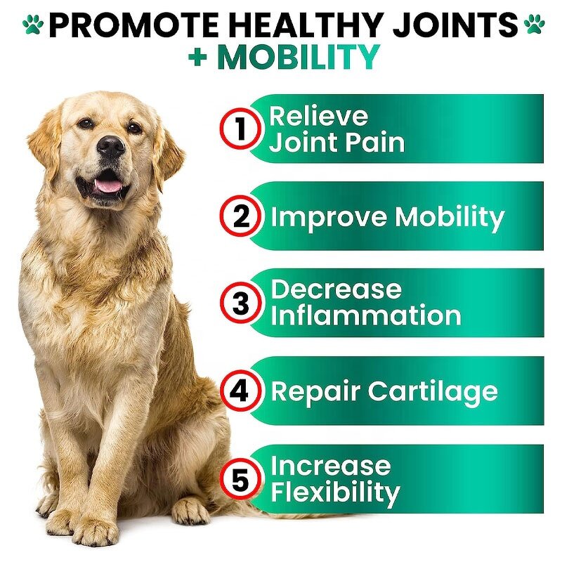 Dog Hip Joint Supplement - Manufacturer - Glucosamine Chondroitin MSM Hemp Seed Oil Pain Relief