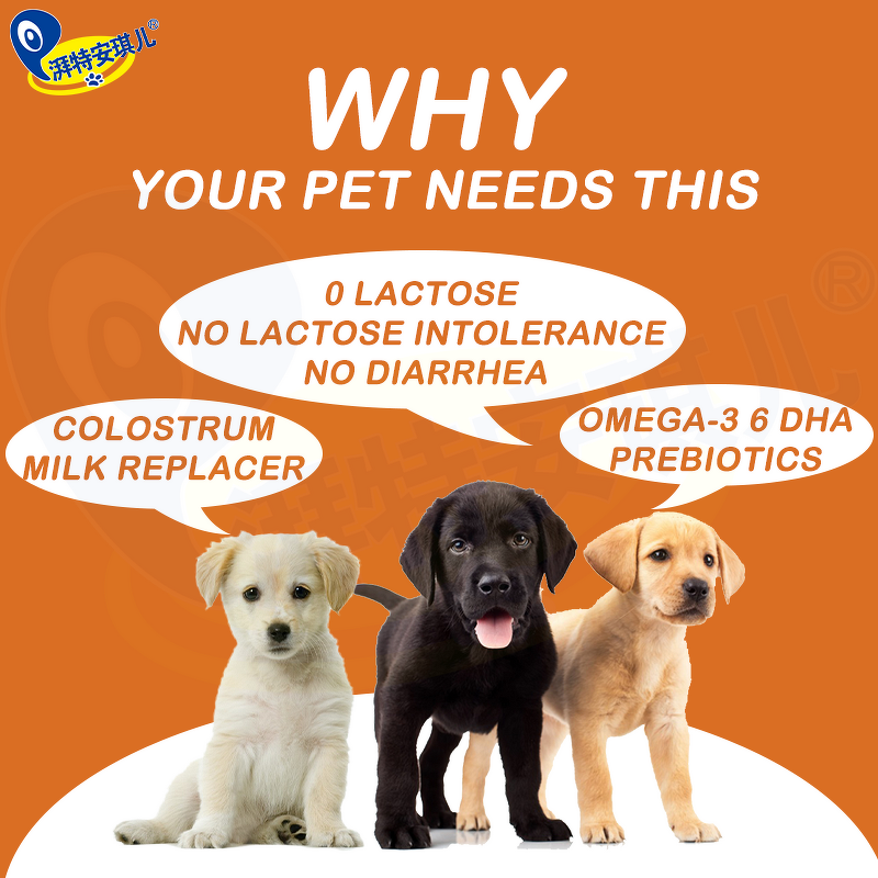 Dog Puppy Probiotic Powder - Manufacturer - Wholesale Omega 3 6 Fatty Acid High Protein