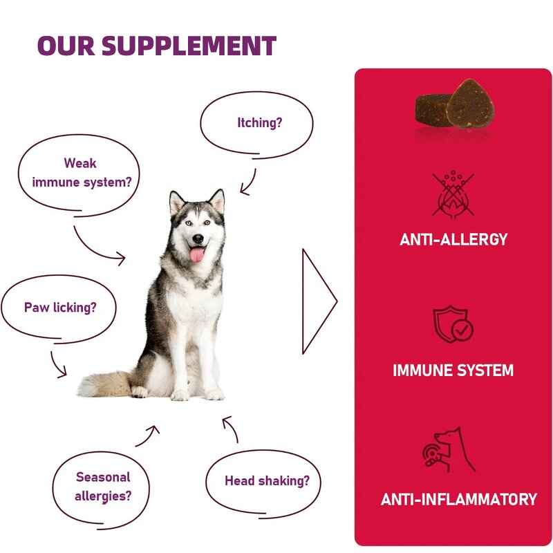Anti Allergy Itch Supplement - Manufacturer - Private Label Strengthens Immune System Pet