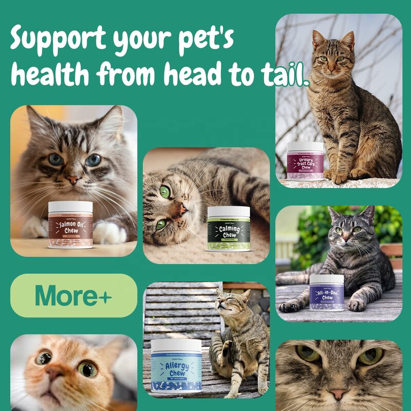 Cat Hip Joint Supplement - Manufacturer - Private Label Green-Lipped Mussel Glucosamine Collagen