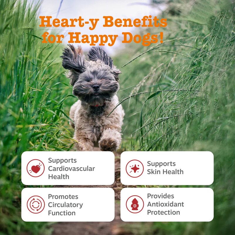 Dog Heart Support Chew - Manufacturer - L Carnitine Fish Oil Taurine Hawthorn CoQ10 Cardio
