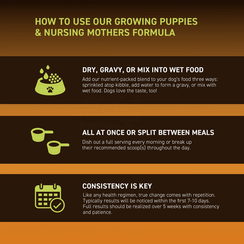 Puppy Gold Powder - Manufacturer - OEM Growing Puppies Nursing Mothers Essential Nutrients