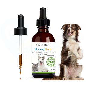 Dog Bladder Supplement - Manufacturer - Urinary Tract Minerals Kidney Immunity Fluid Balance