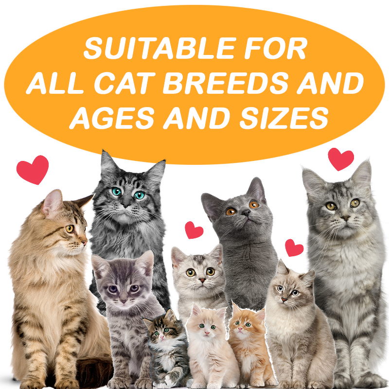 Cat Salmon Oil Supplement - Manufacturer - Wholesale Private Label Skin Coat Shiny Moisturising