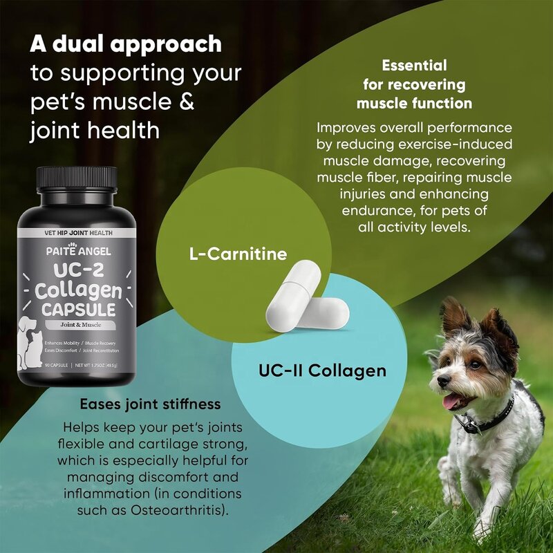 UC-II Collagen Capsules - Manufacturer - Hyaluronic Acid Pain Relief Athletic Performance Pets