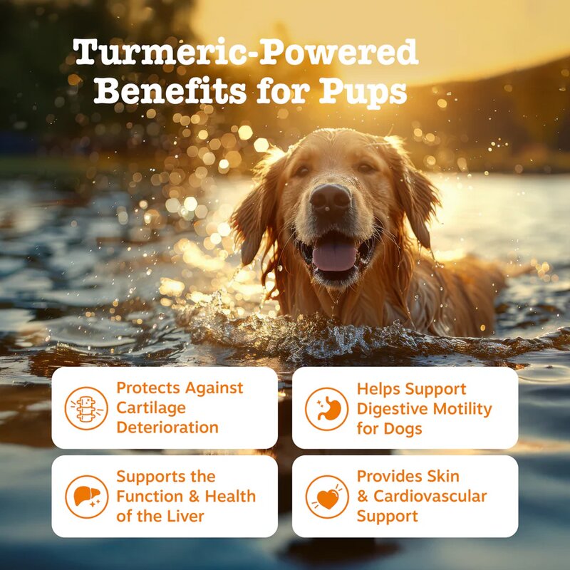 Turmeric Curcumin Chews - Manufacturer - Wholesale OEM/ODM Hip Joint Cardiovascular Liver Health