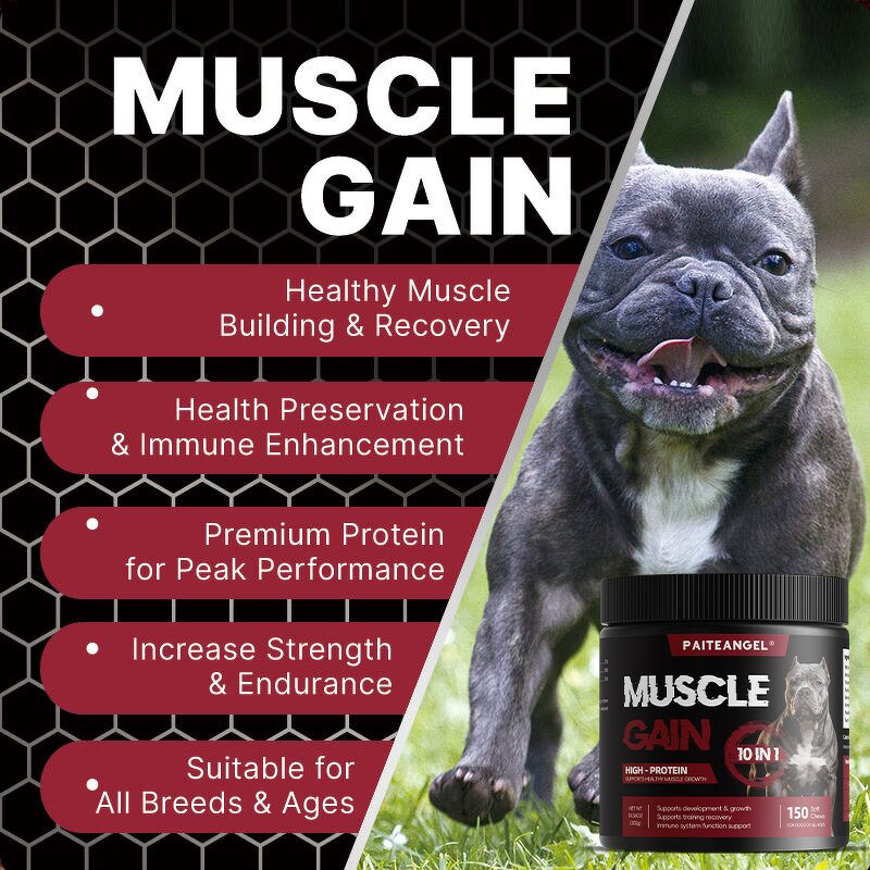Dog Muscle Gain Supplement - Manufacturer - Soft Chews Powder Development Recovery Body Mass