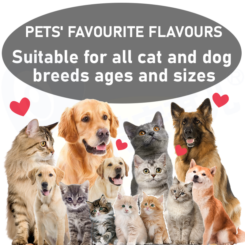 Pet Urinary Soft Chews - Manufacturer - Custom Brand Cranberry Kidney Health Dog Supplement