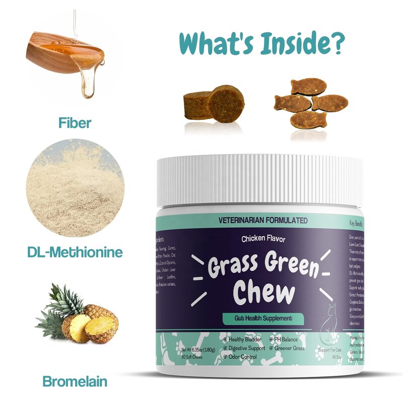 Cat Gut Health Supplement - Manufacturer - Private Label Fiber Enzymes Digestive Health Care