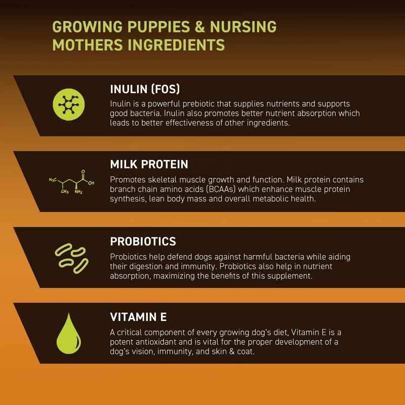 Puppy Gold Powder - Manufacturer - OEM Growing Puppies Nursing Mothers Essential Nutrients