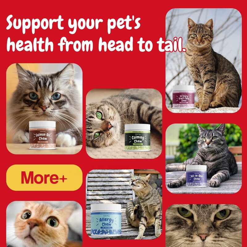 Cat Probiotic Supplement - Manufacturer - Private Label Bifidobacterium Enterococcus Pet Health