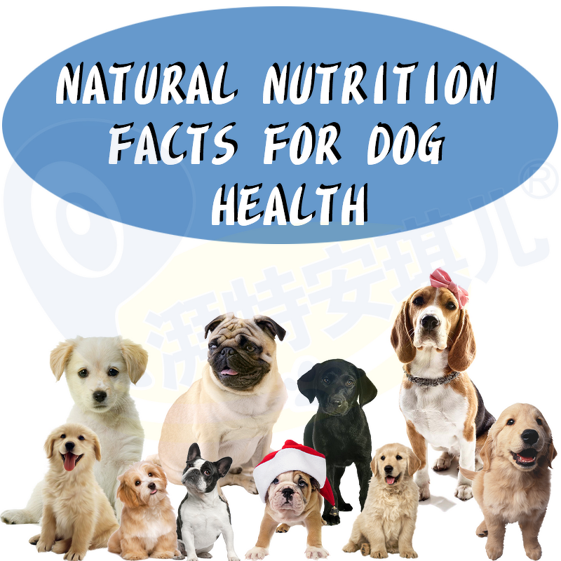 Puppy Support Supplement - Manufacturer - Probiotics Prebiotics Enzymes Glucose Electrolytes
