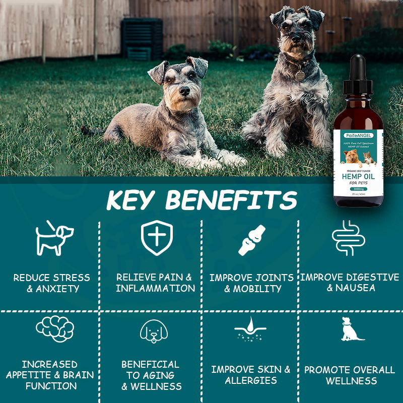 Pet Hemp Oil Supplement - Manufacturer - Customization Dog Gut Joint Health Hemp Oil Cats