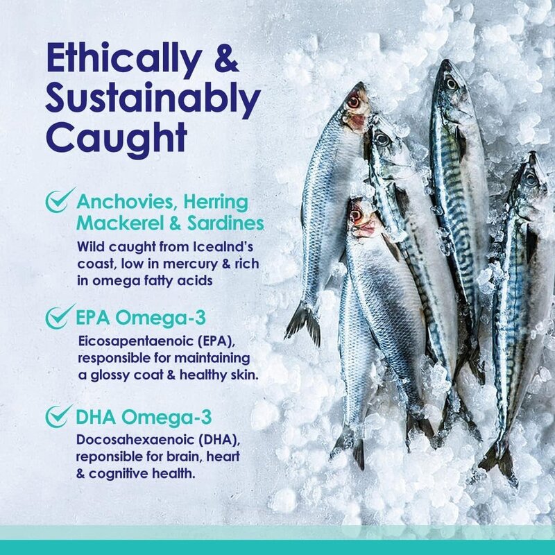 Wild Fish Oil Softgels - Manufacturer - Custom RTG 3X Absorption Heart Brain Joint 90% Ultra-Pure