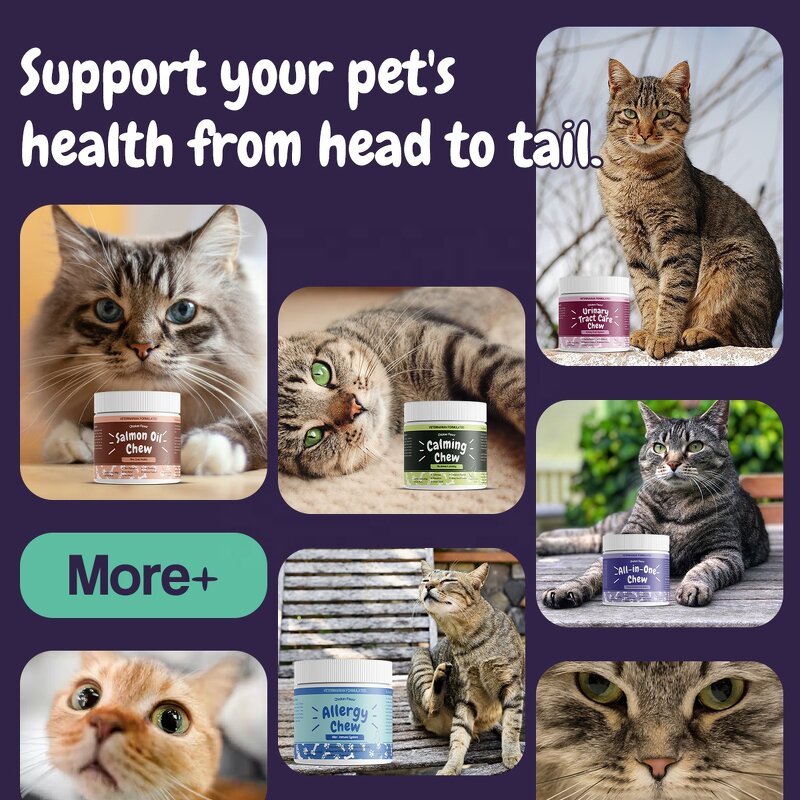 Cat Gut Health Supplement - Manufacturer - Private Label Fiber Enzymes Digestive Health Care