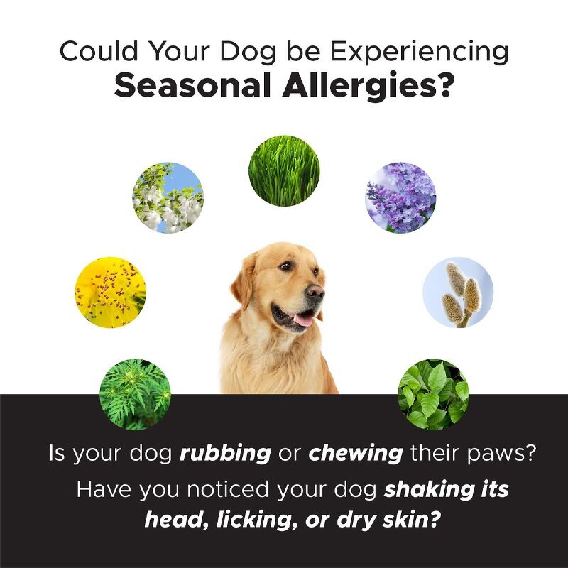 Dog Itchy Skin Supplement - Manufacturer - Custom Private Label Allergy Immune Relief Pet