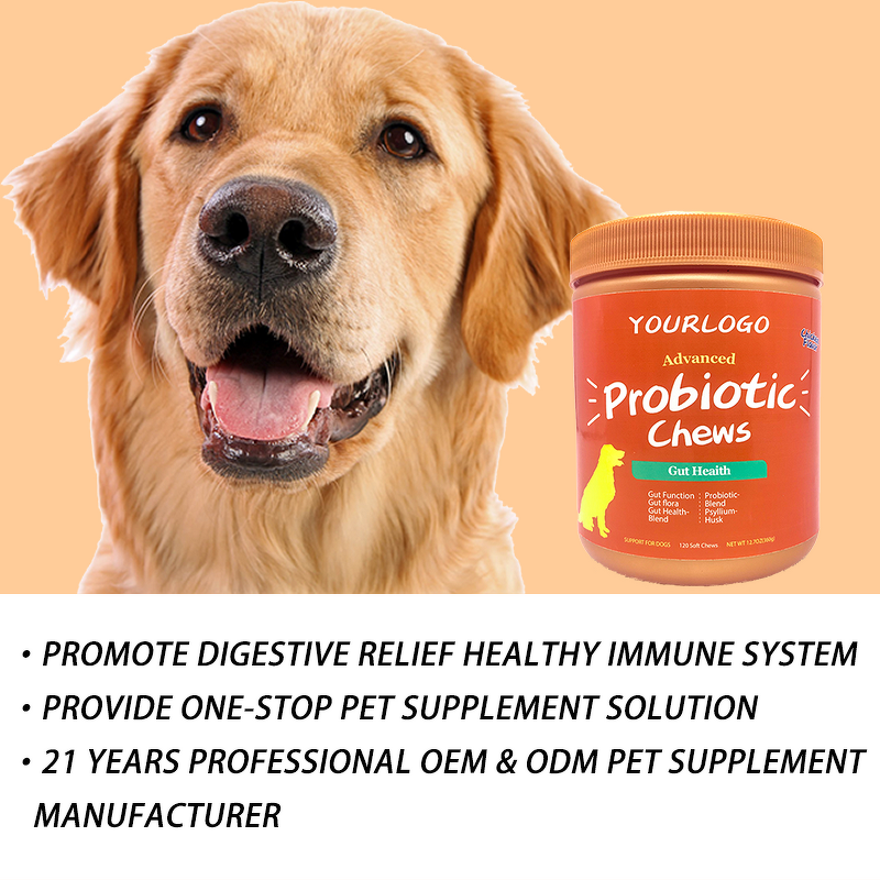 Pet Probiotic Supplement - Manufacturer - Private Label Chews Prebiotics Probiotics for Dogs