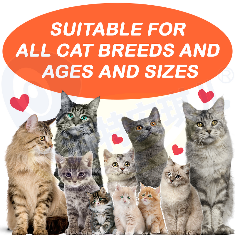 Cat Kidney Supplement - Manufacturer - OEM Private Label Nutrition Urinary Kidney Function